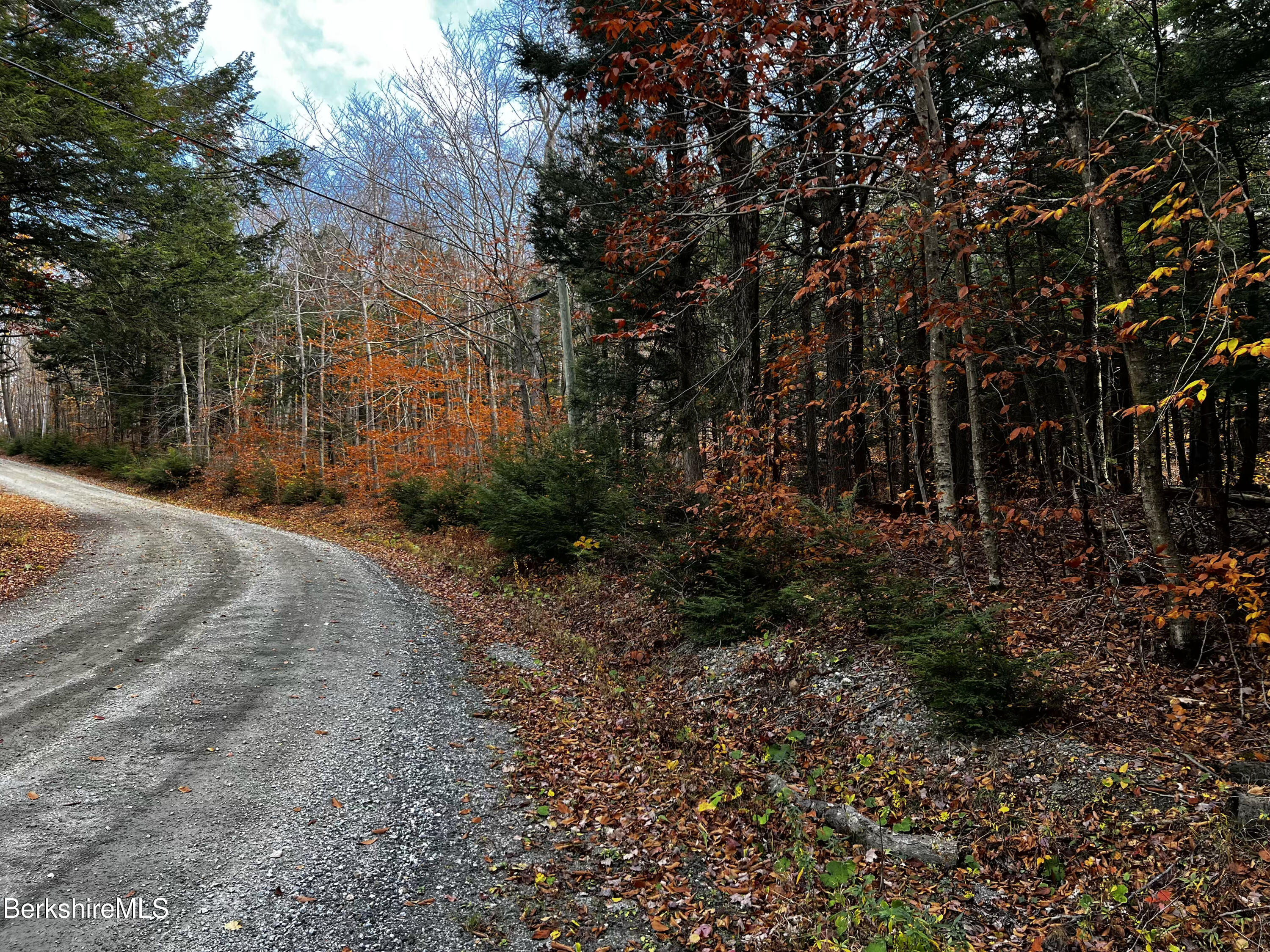 Lot 84 Moberg Road Becket, MA 01223 - Photo 13 of 26 a view of a backyard with plants and large trees
