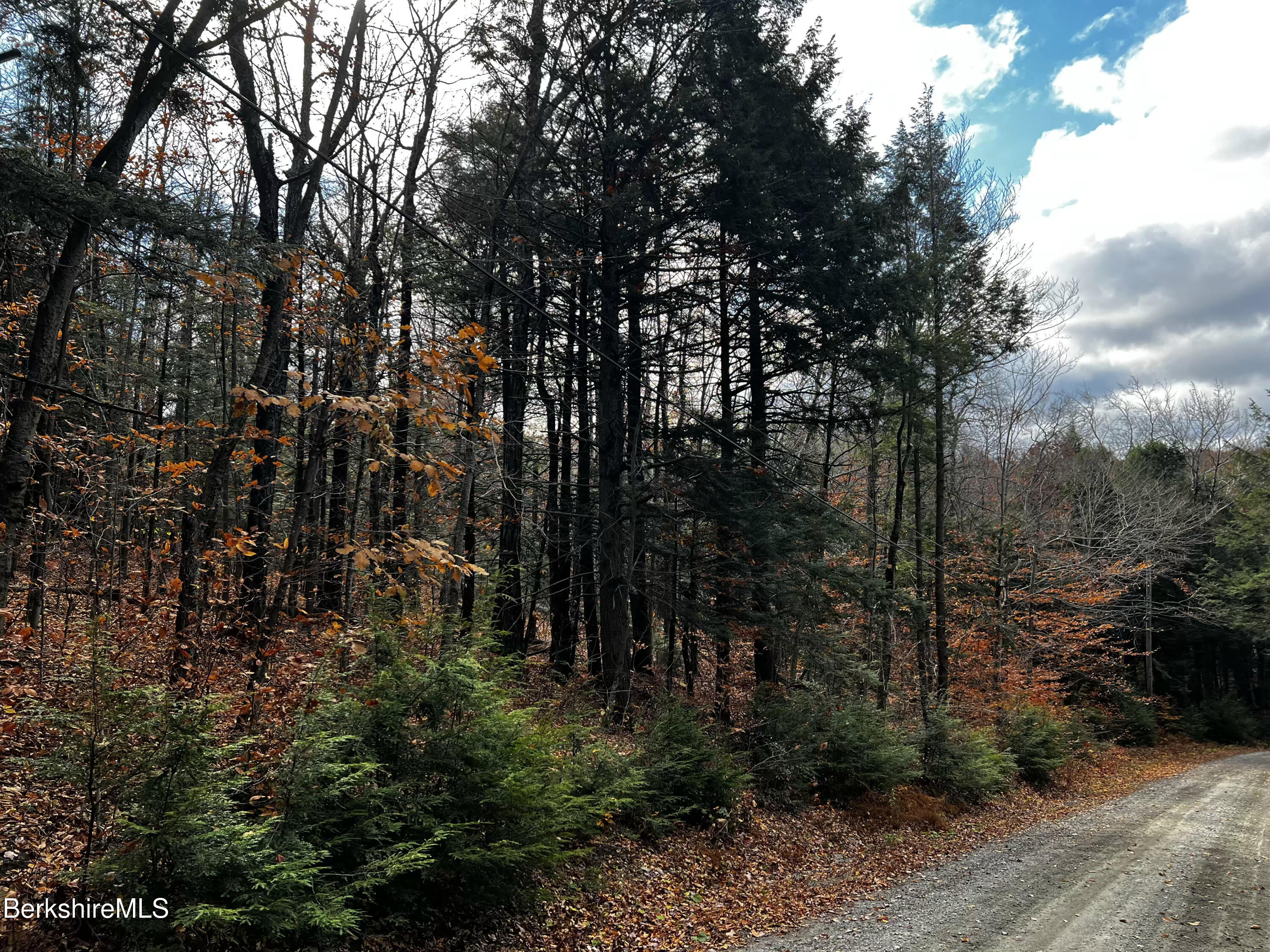 Lot 84 Moberg Road Becket, MA 01223 - Photo 14 of 26 a view of a forest with a tree