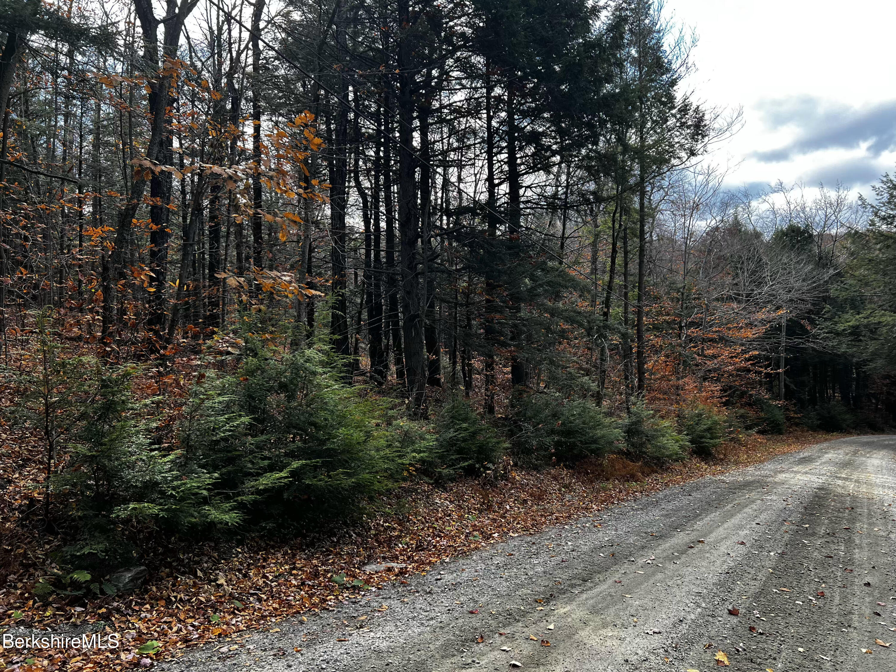 Lot 84 Moberg Road Becket, MA 01223 - Photo 15 of 26 a view of backyard with green space