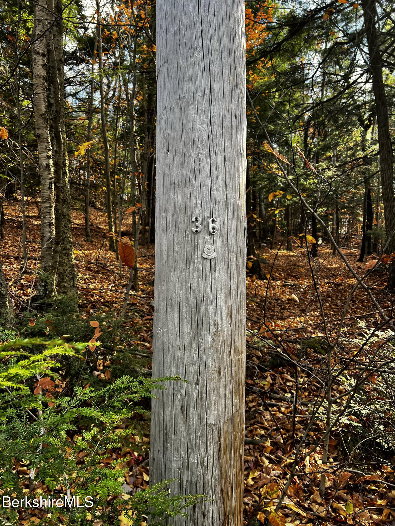 Lot 84 Moberg Road Becket, MA 01223 - Photo 16 of 26