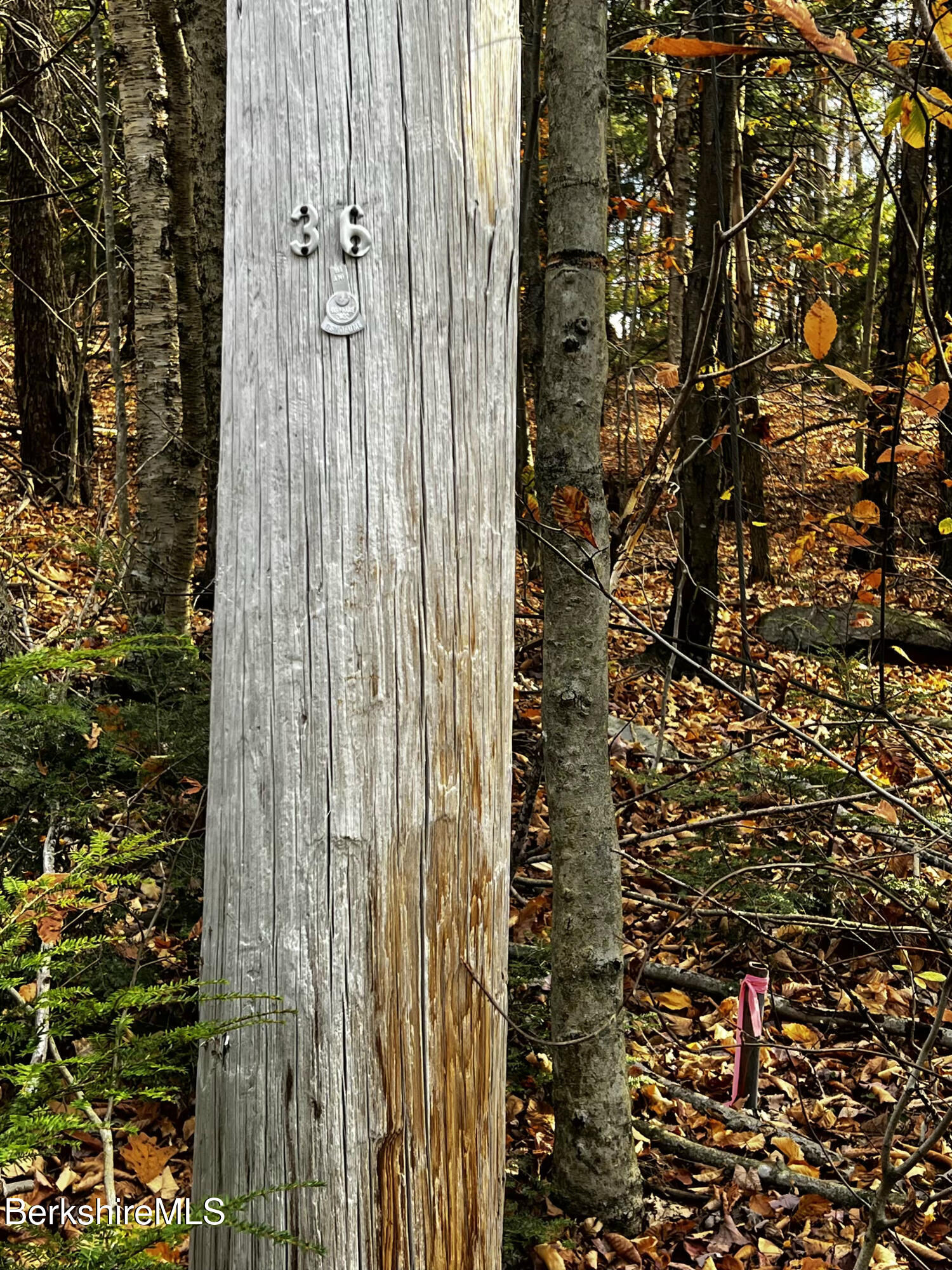Lot 84 Moberg Road Becket, MA 01223 - Photo 17 of 26 a bathroom with a shower