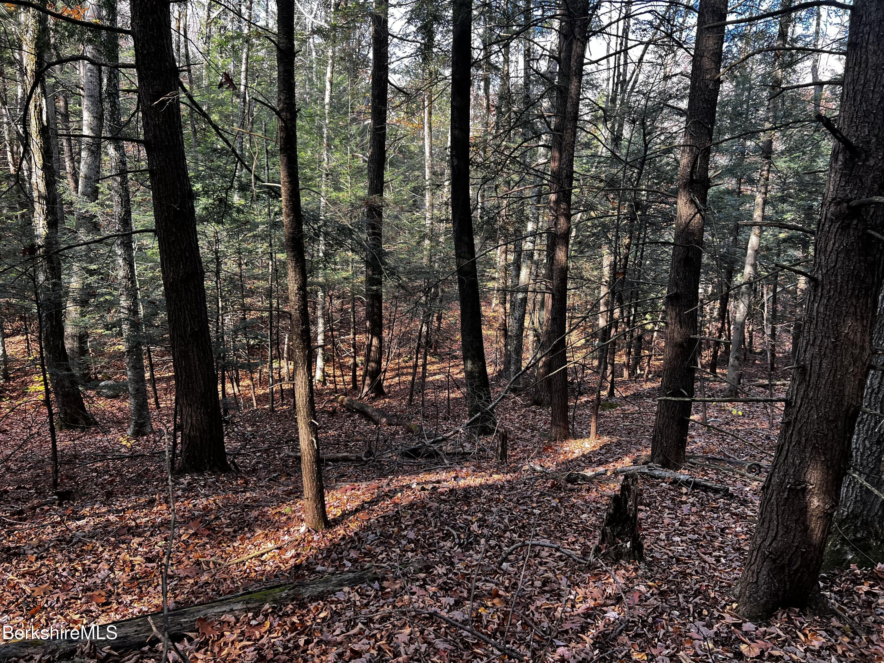 Lot 84 Moberg Road Becket, MA 01223 - Photo 20 of 26 a big yard with lots of green space