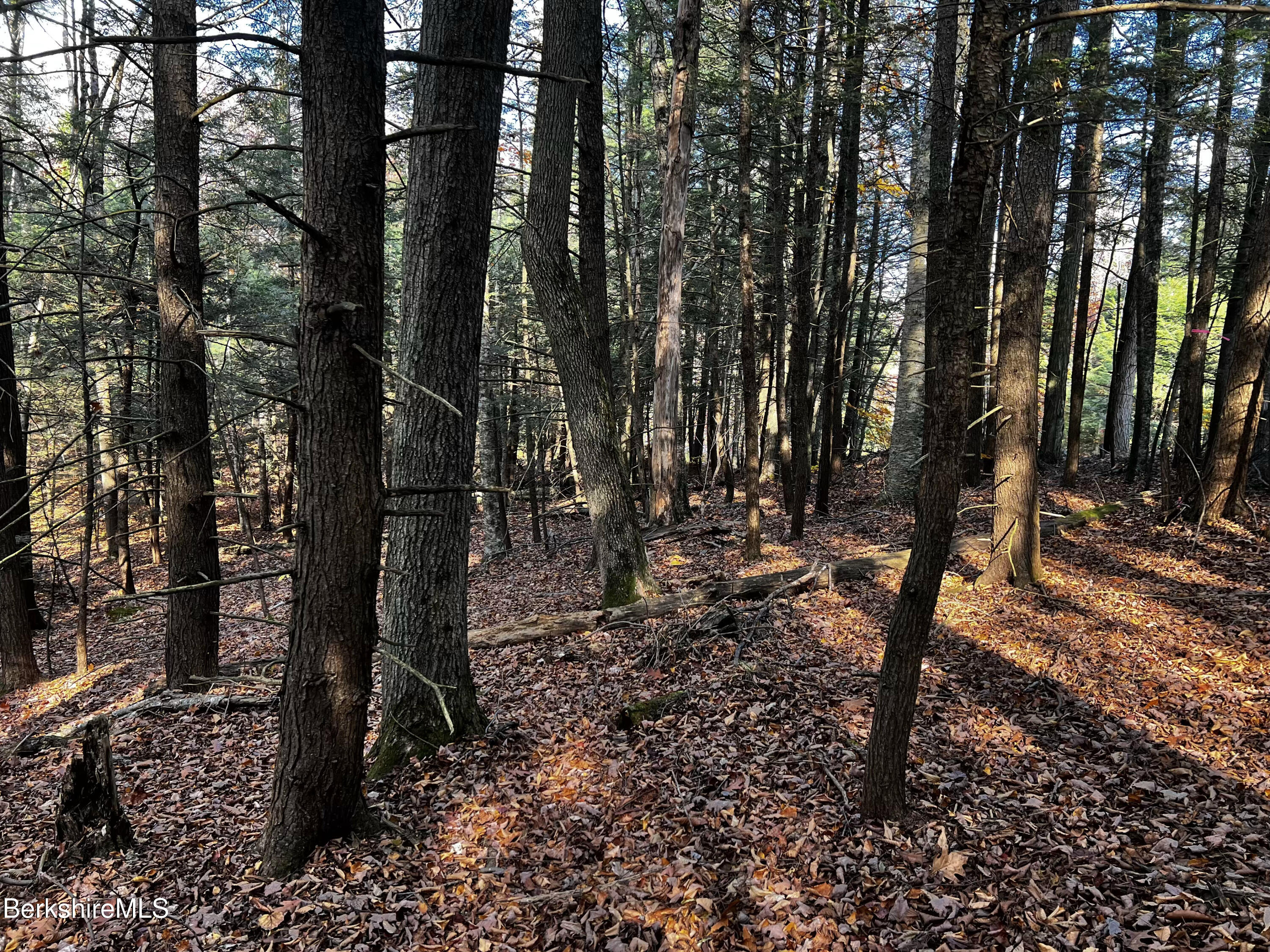 Lot 84 Moberg Road Becket, MA 01223 - Photo 2 of 26 a backyard of a house with lots of green space