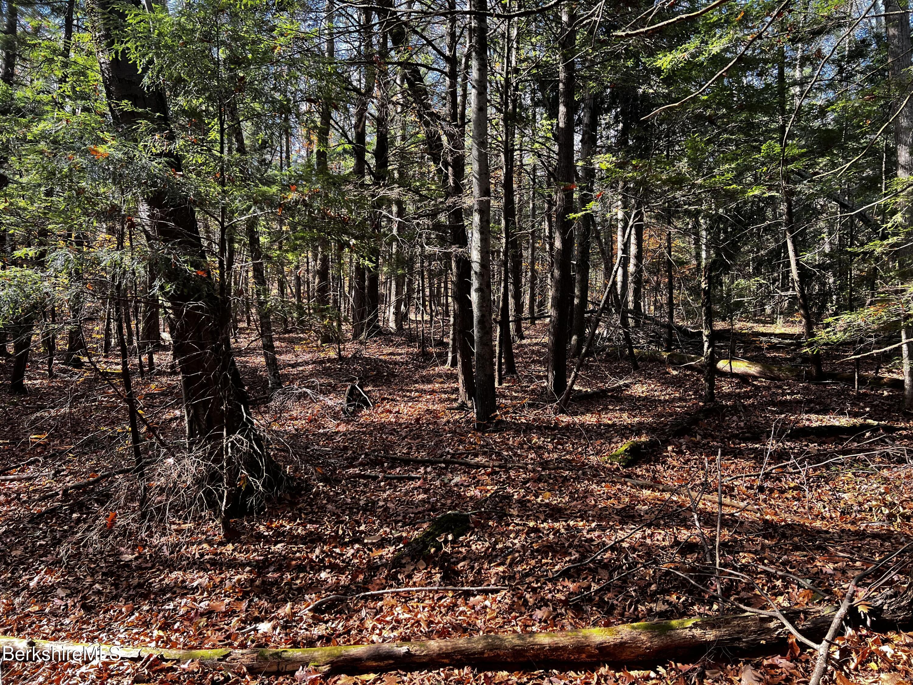 Lot 84 Moberg Road Becket, MA 01223 - Photo 21 of 26 a view of backyard with green space