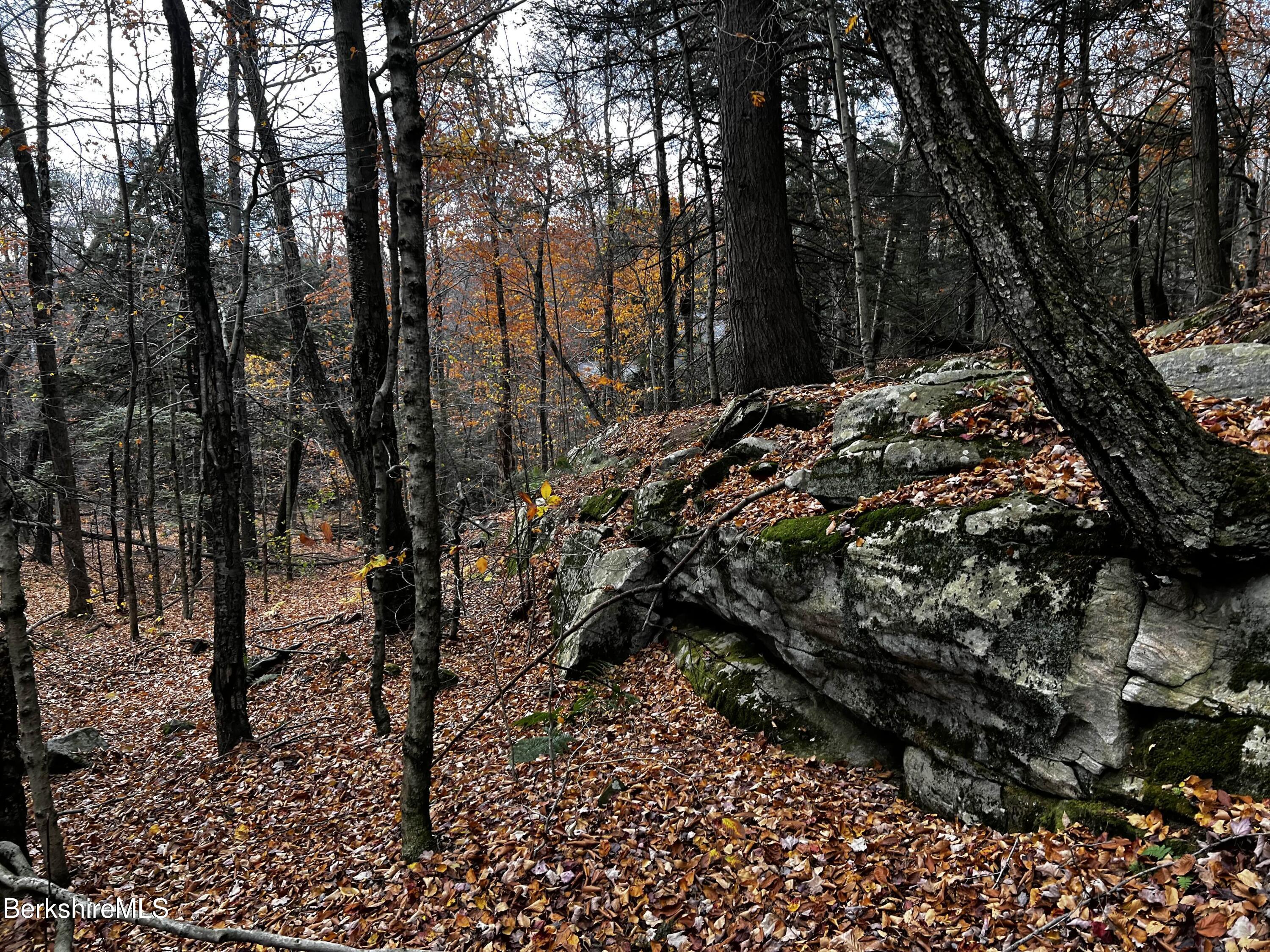 Lot 84 Moberg Road Becket, MA 01223 - Photo 23 of 26 a view of a forest covered with trees