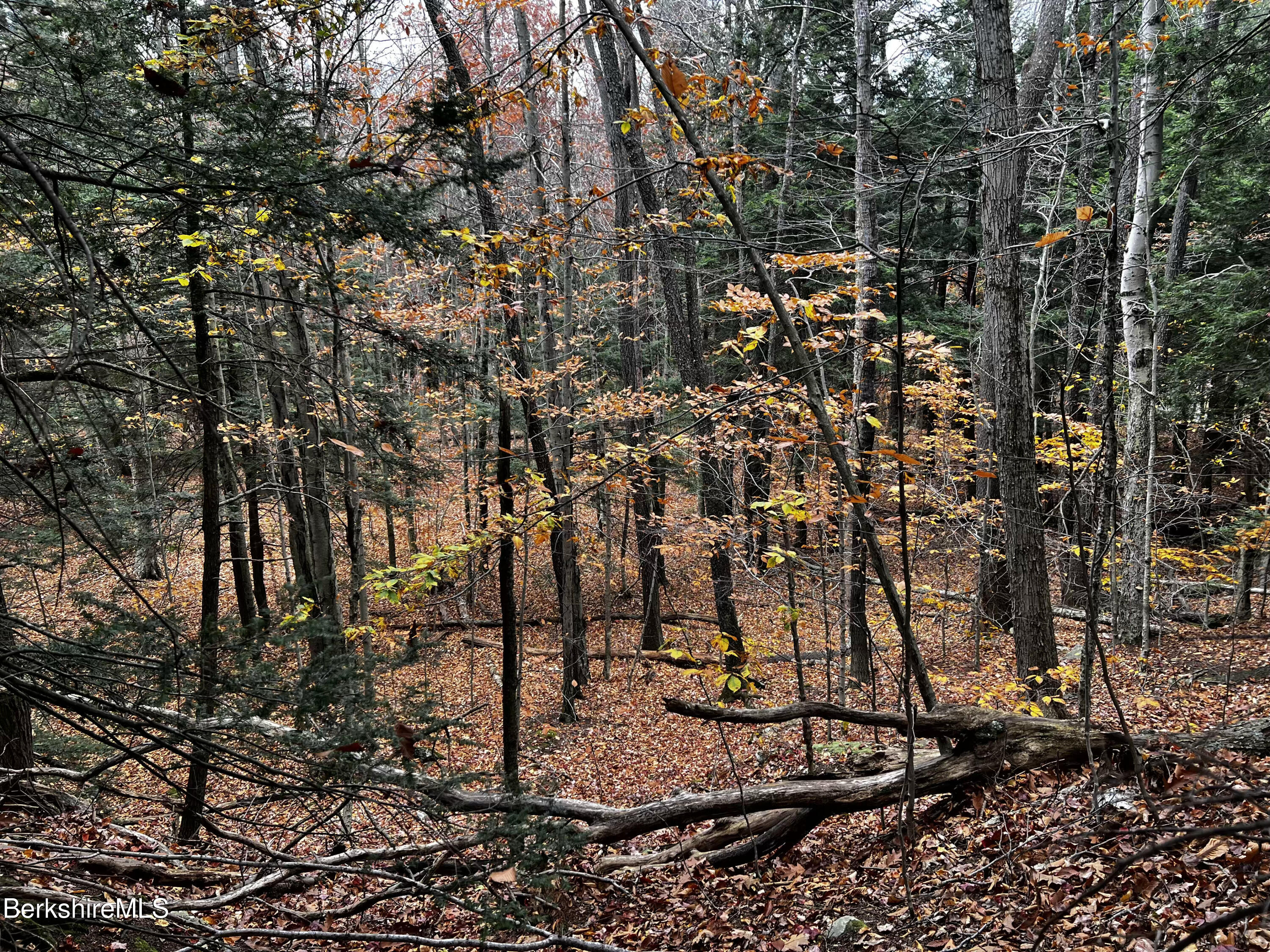 Lot 84 Moberg Road Becket, MA 01223 - Photo 24 of 26 a view of a yard of the house