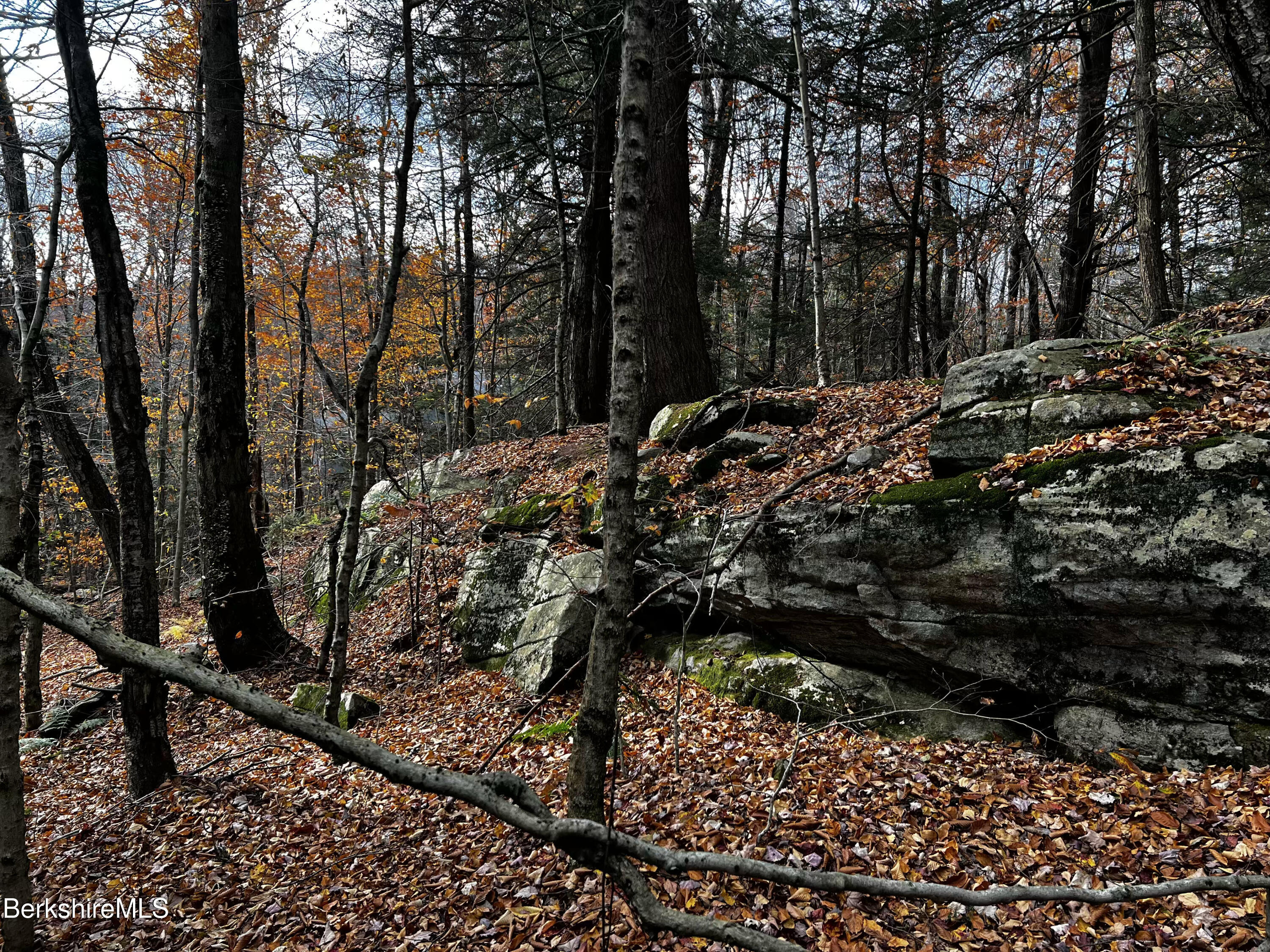 Lot 84 Moberg Road Becket, MA 01223 - Photo 25 of 26 a view of a forest with trees