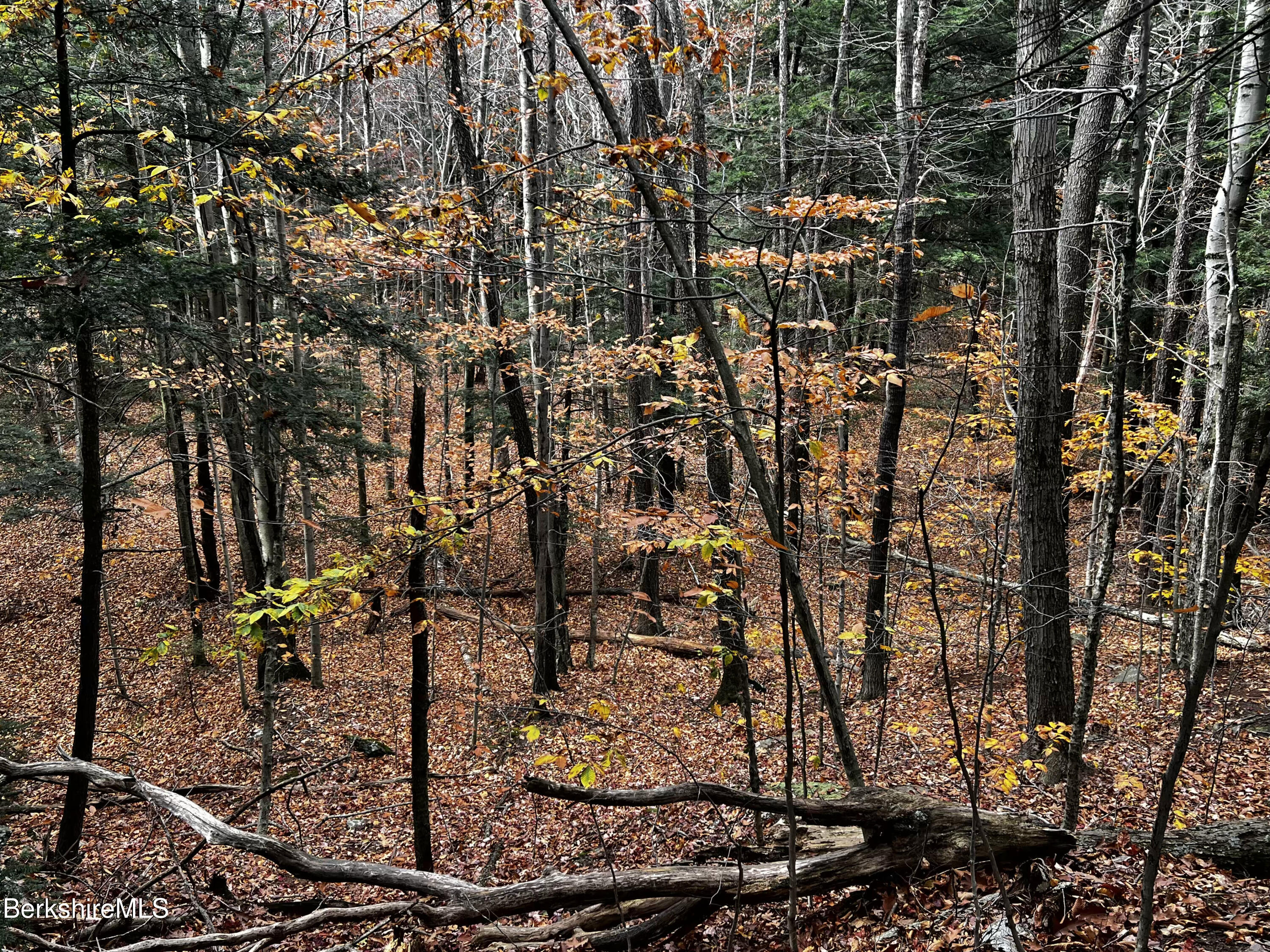 Lot 84 Moberg Road Becket, MA 01223 - Photo 26 of 26 a view of outdoor space