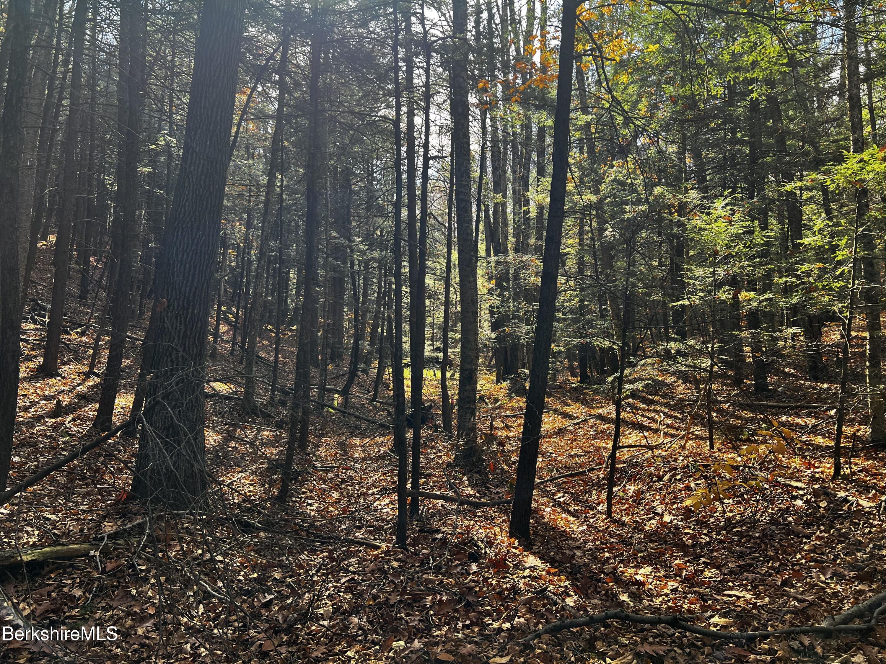 Lot 84 Moberg Road Becket, MA 01223 - Photo 4 of 26 a view of outdoor space and garden