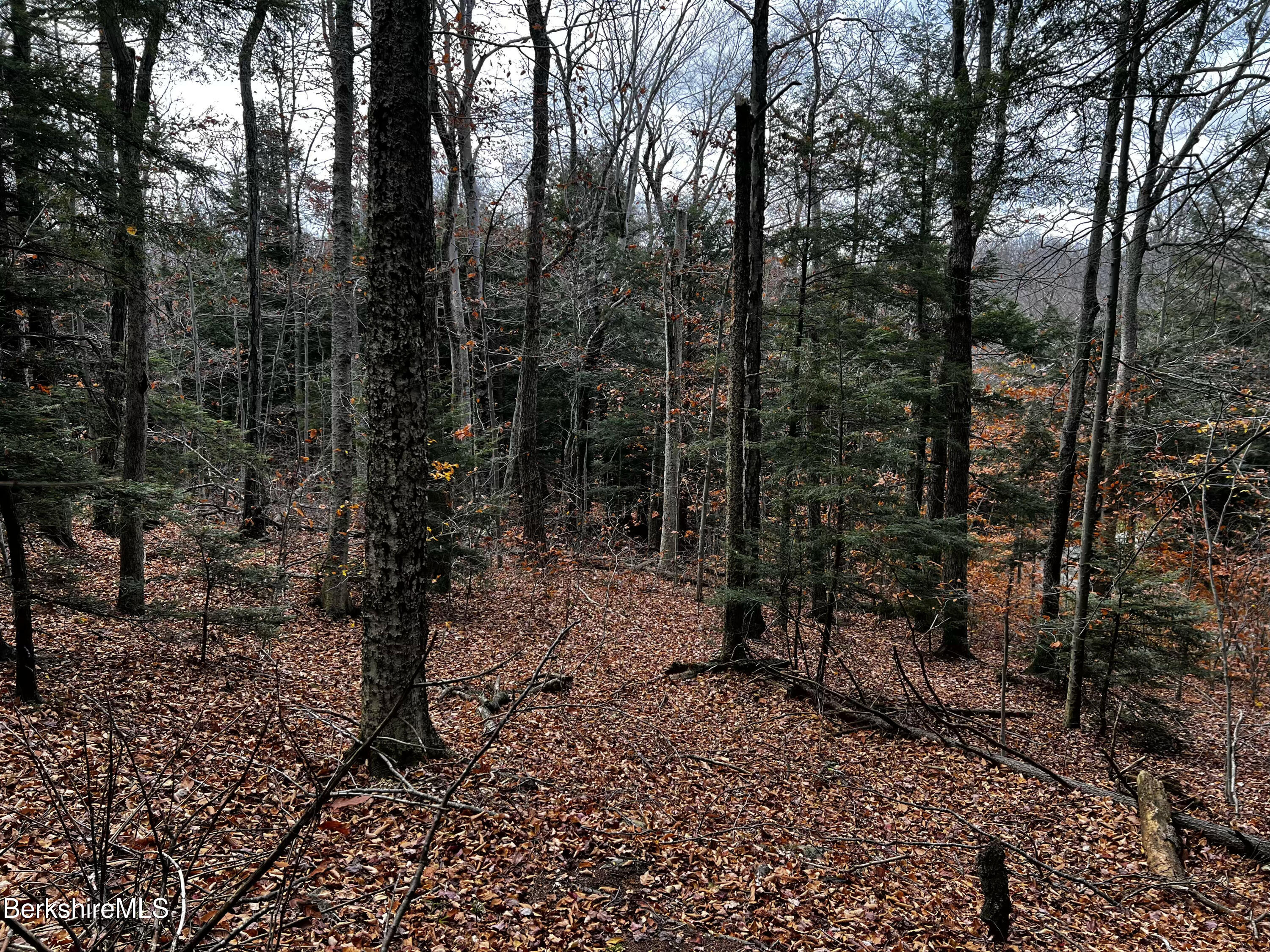 Lot 84 Moberg Road Becket, MA 01223 - Photo 7 of 26 a view of a forest with trees