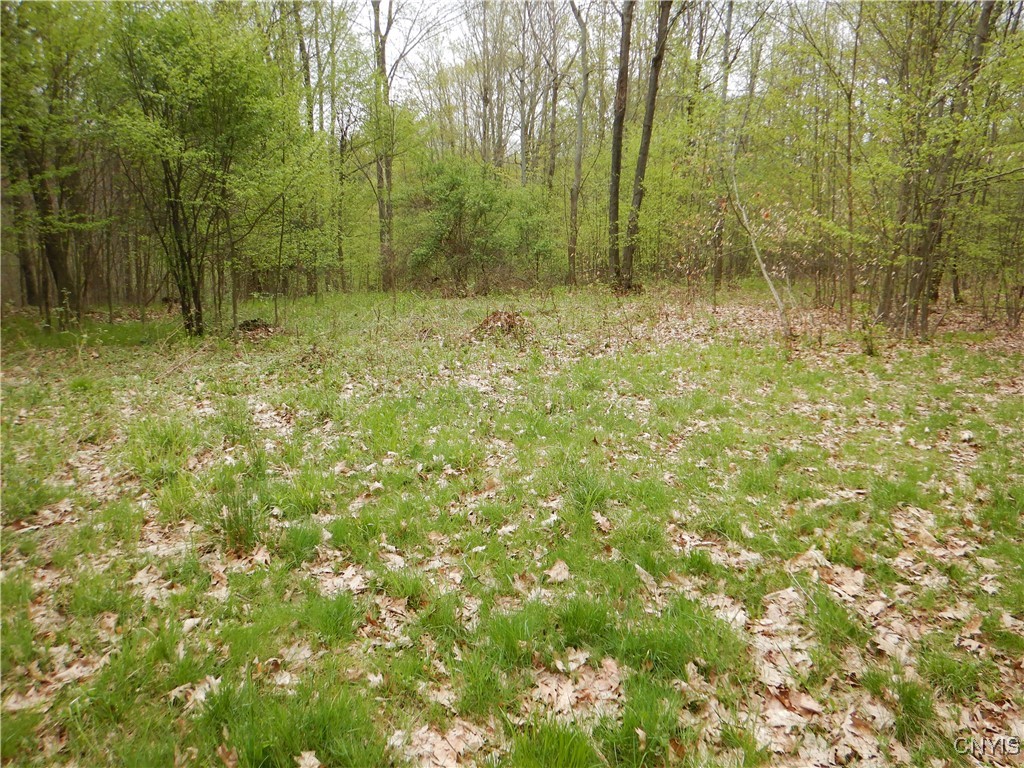 Wightman Road Wellsville, NY 14895 - Photo 11 of 47