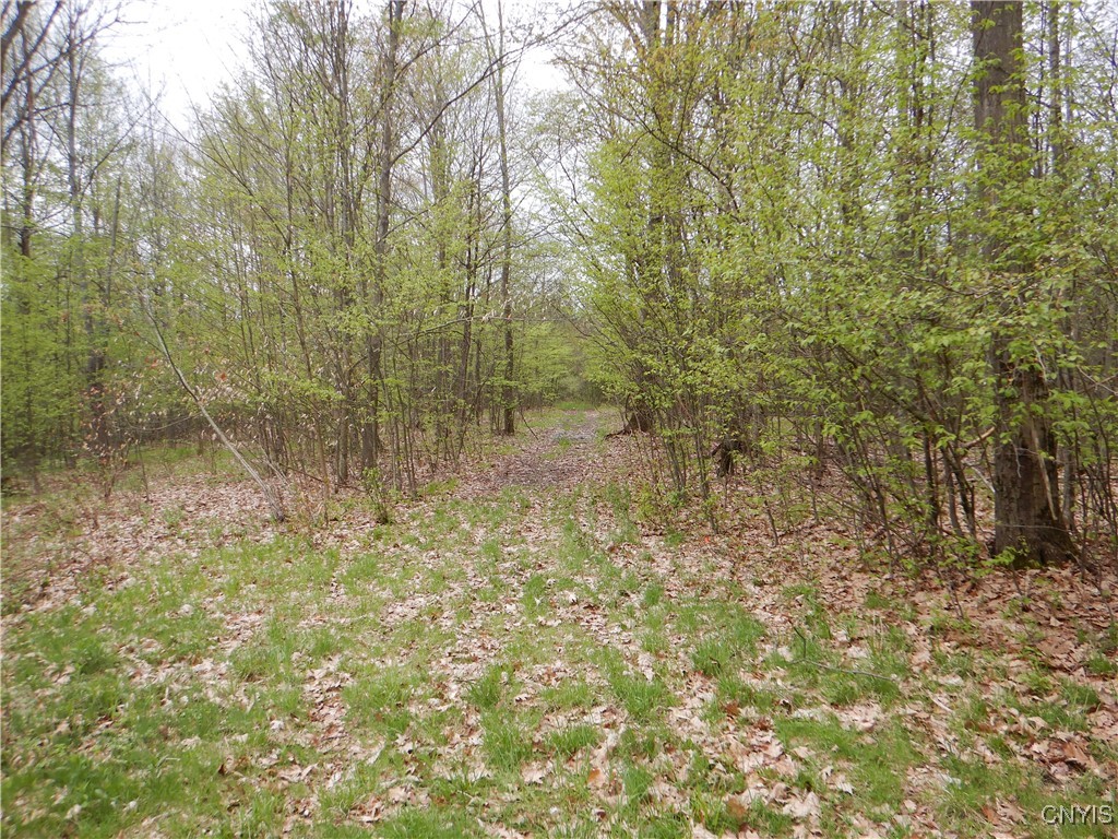 Wightman Road Wellsville, NY 14895 - Photo 12 of 47