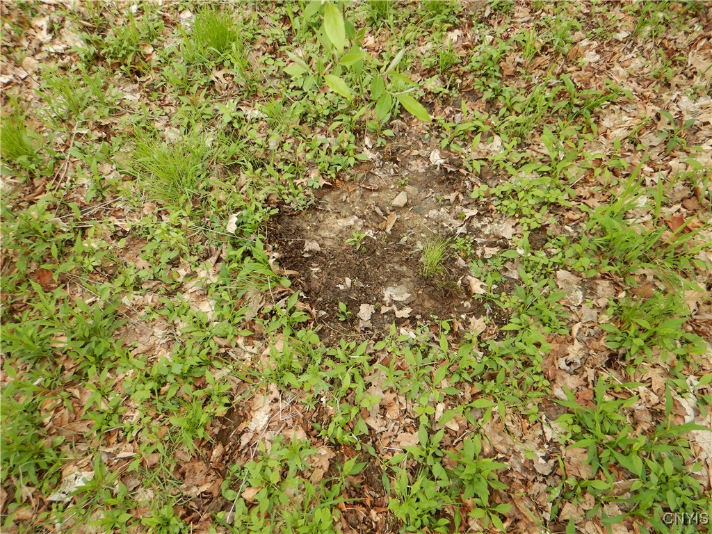 Wightman Road Wellsville, NY 14895 - Photo 14 of 47