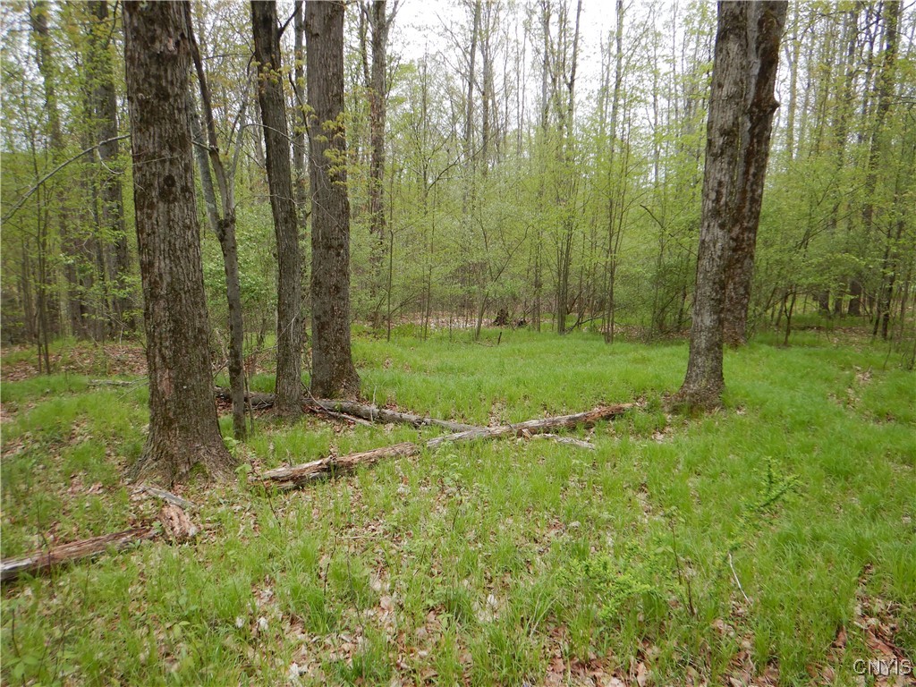 Wightman Road Wellsville, NY 14895 - Photo 15 of 47