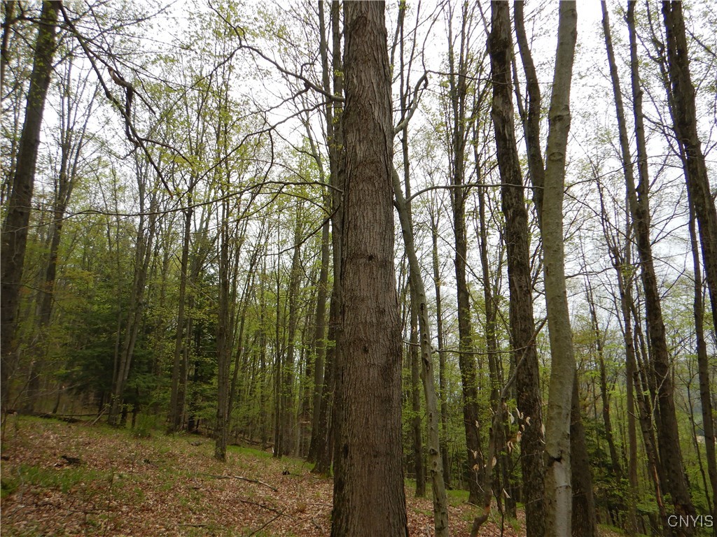 Wightman Road Wellsville, NY 14895 - Photo 17 of 47