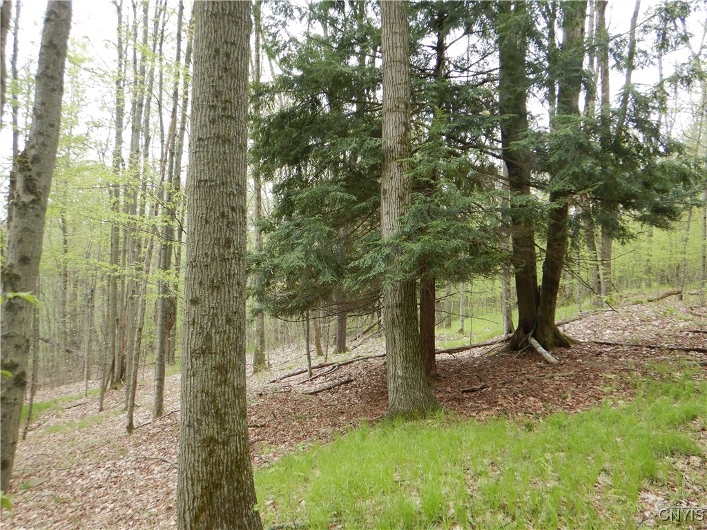 Wightman Road Wellsville, NY 14895 - Photo 19 of 47