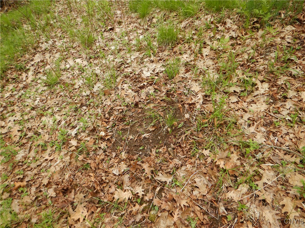 Wightman Road Wellsville, NY 14895 - Photo 20 of 47