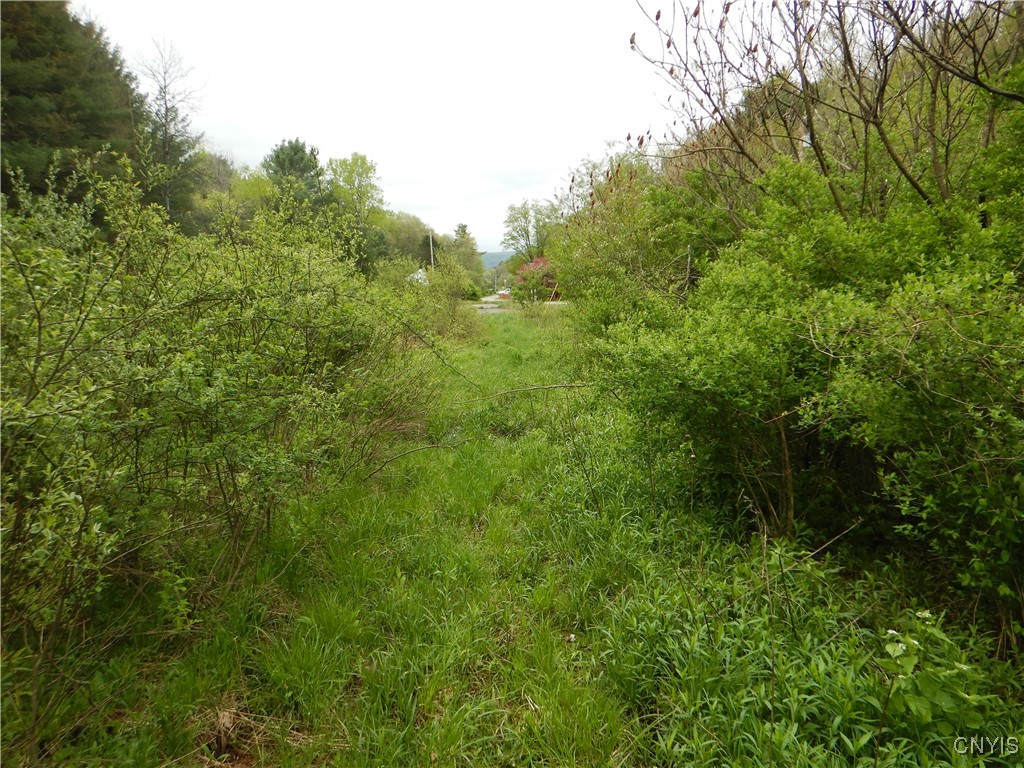 Wightman Road Wellsville, NY 14895 - Photo 2 of 47