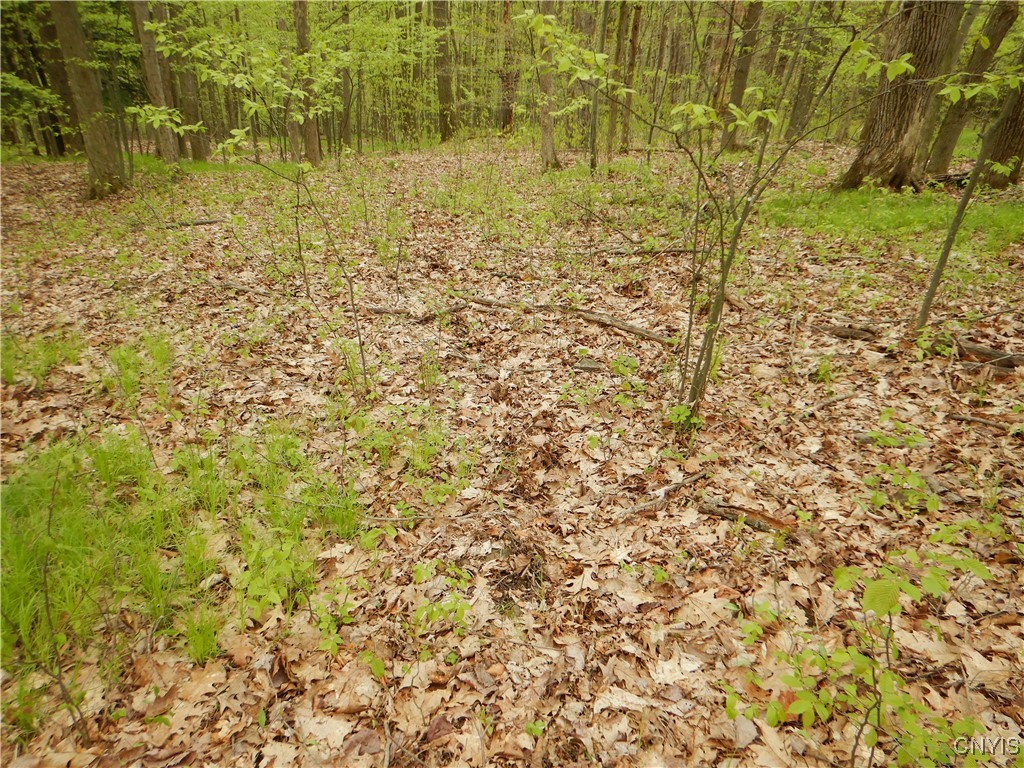 Wightman Road Wellsville, NY 14895 - Photo 23 of 47