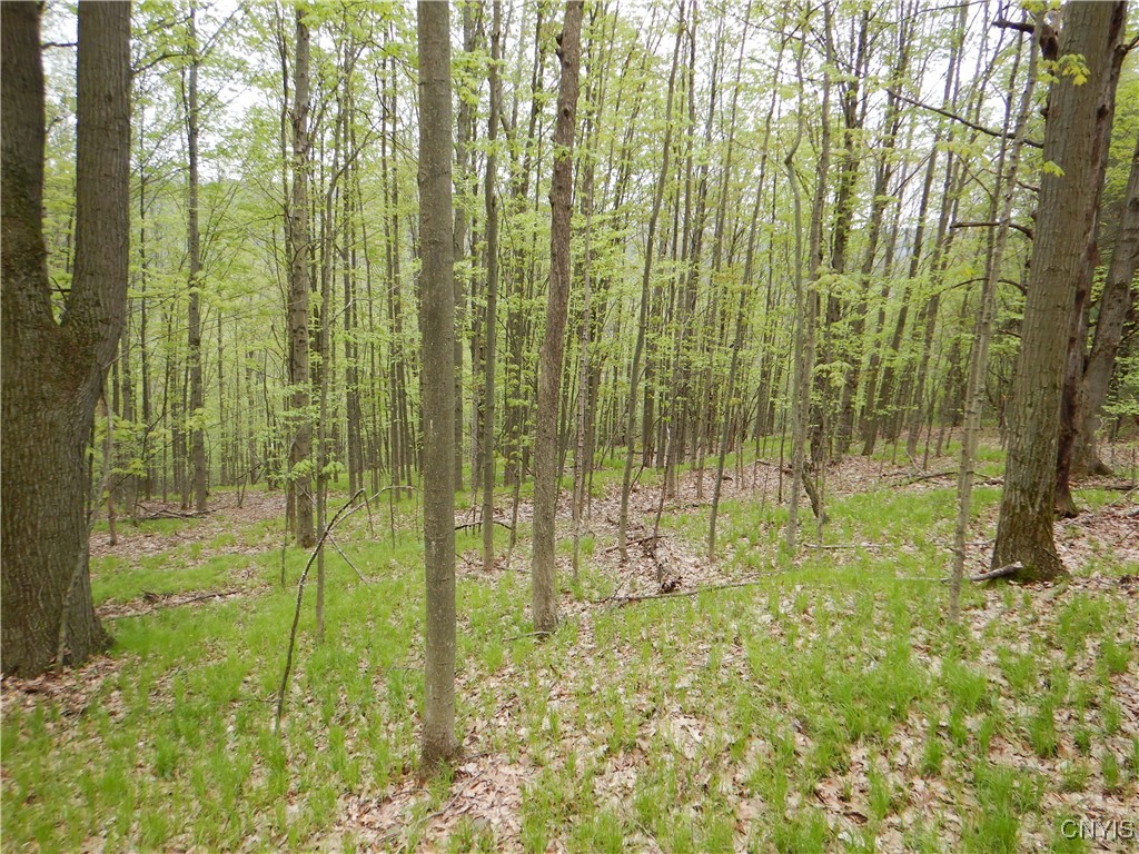 Wightman Road Wellsville, NY 14895 - Photo 25 of 47