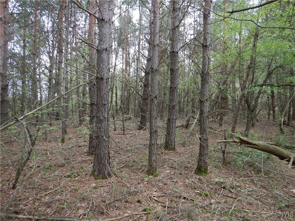 Wightman Road Wellsville, NY 14895 - Photo 27 of 47