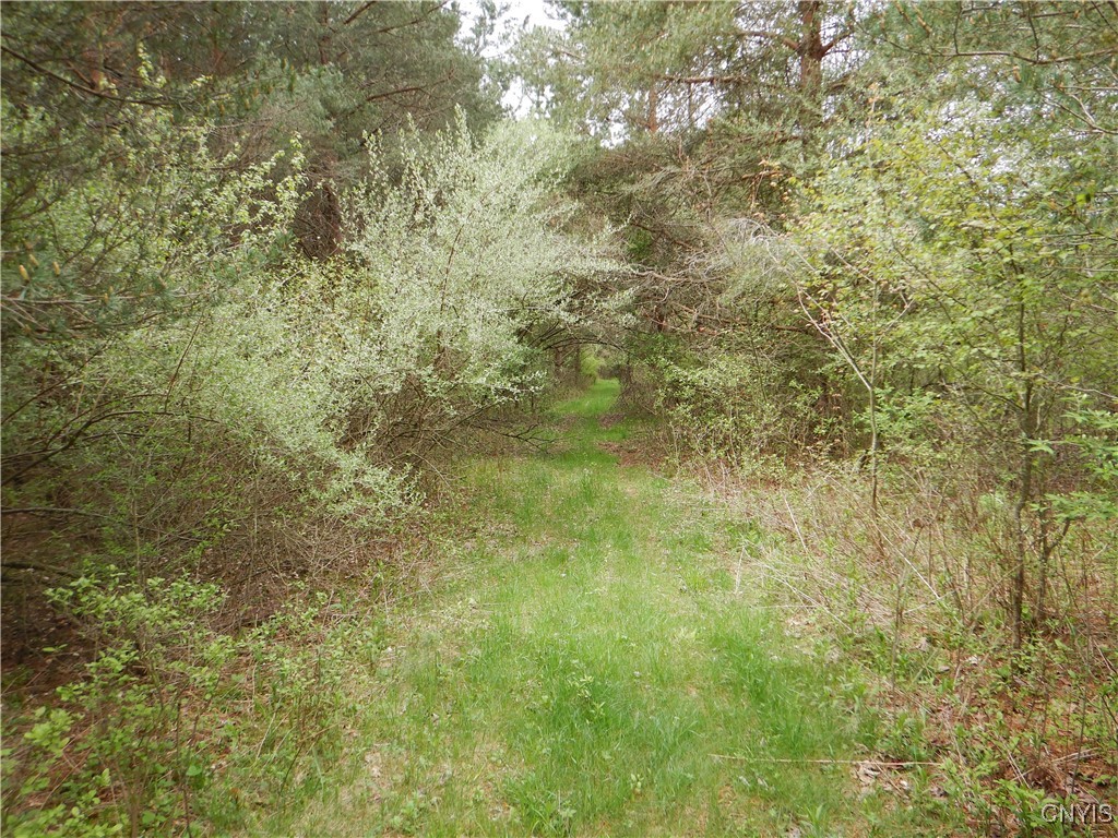 Wightman Road Wellsville, NY 14895 - Photo 29 of 47