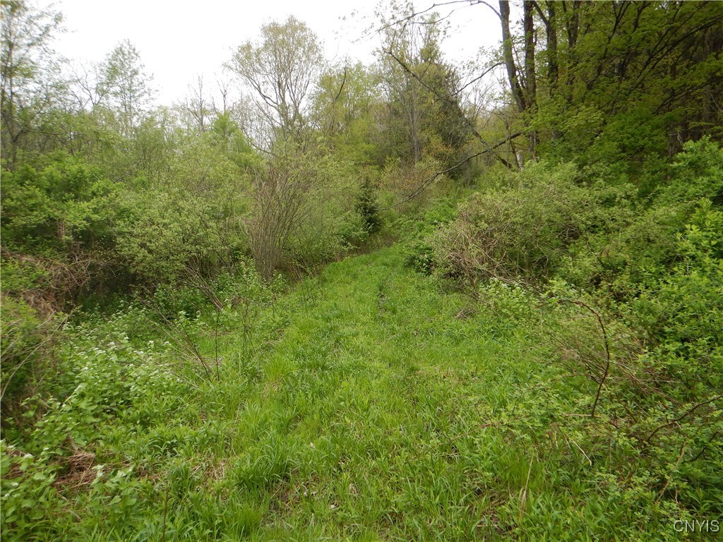 Wightman Road Wellsville, NY 14895 - Photo 3 of 47