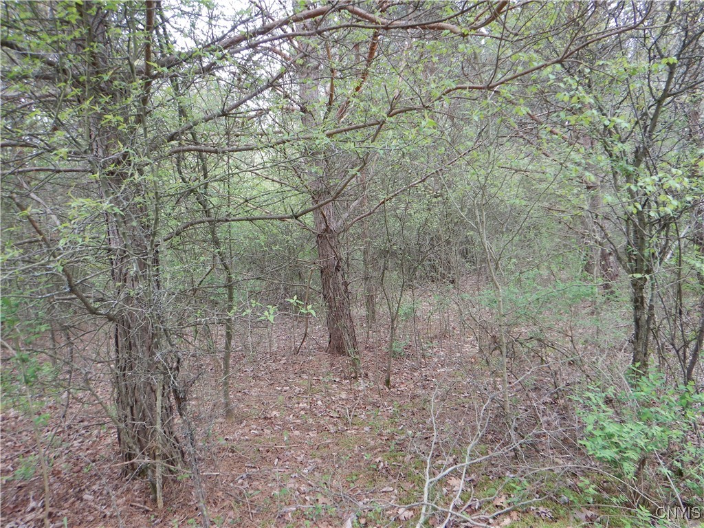 Wightman Road Wellsville, NY 14895 - Photo 31 of 47