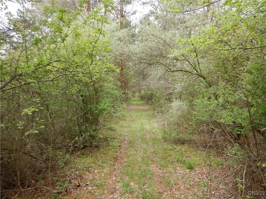 Wightman Road Wellsville, NY 14895 - Photo 32 of 47