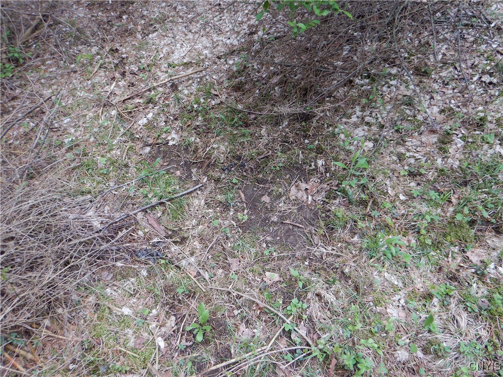 Wightman Road Wellsville, NY 14895 - Photo 33 of 47