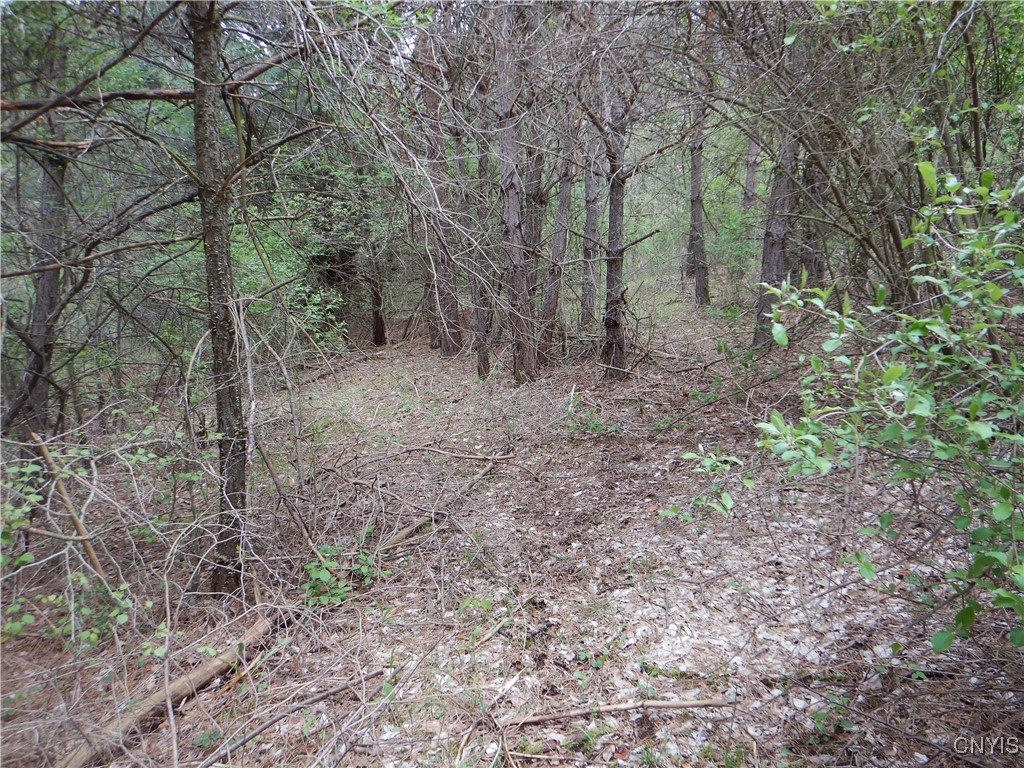 Wightman Road Wellsville, NY 14895 - Photo 34 of 47