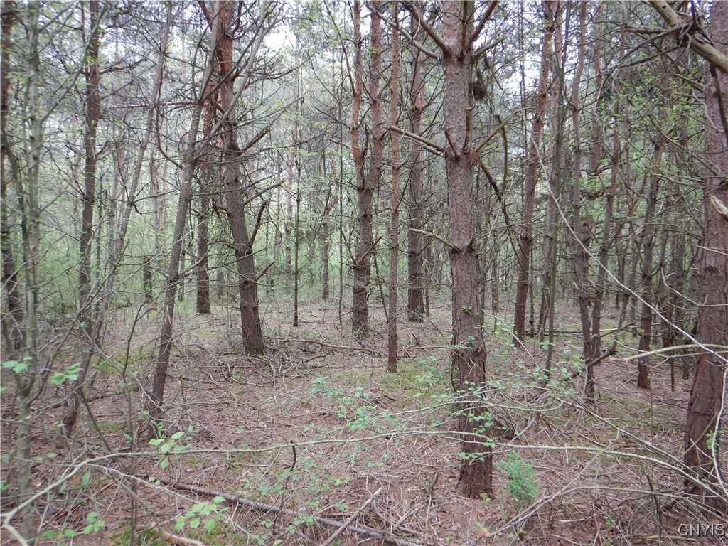 Wightman Road Wellsville, NY 14895 - Photo 35 of 47