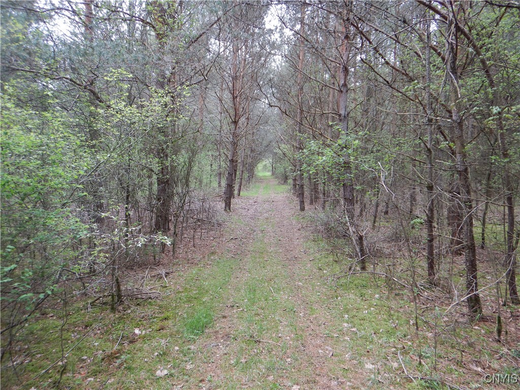 Wightman Road Wellsville, NY 14895 - Photo 36 of 47