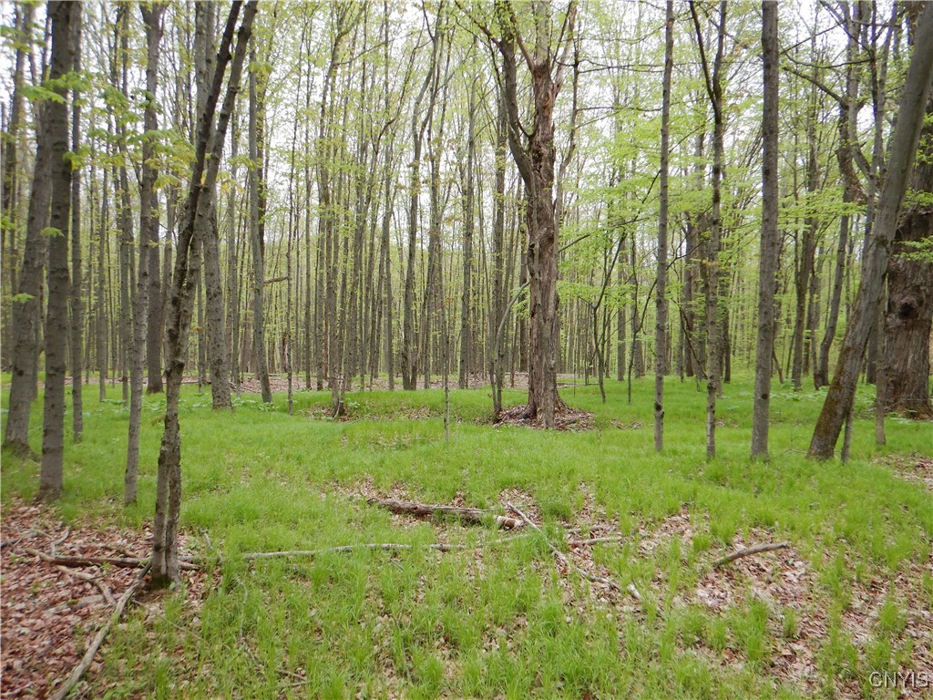 Wightman Road Wellsville, NY 14895 - Photo 37 of 47