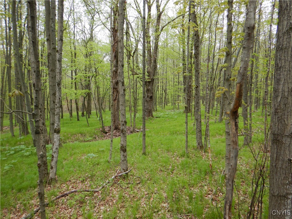 Wightman Road Wellsville, NY 14895 - Photo 38 of 47