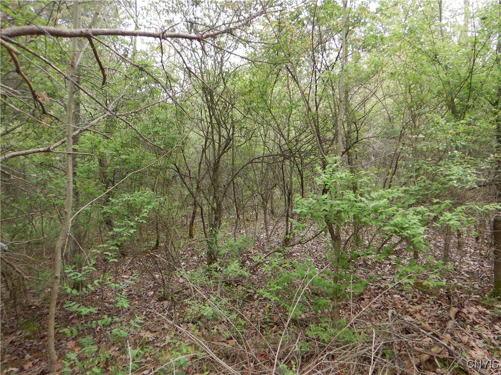 Wightman Road Wellsville, NY 14895 - Photo 39 of 47