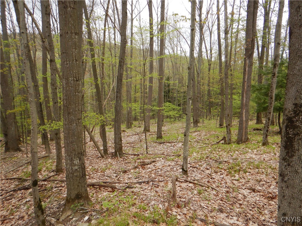 Wightman Road Wellsville, NY 14895 - Photo 40 of 47