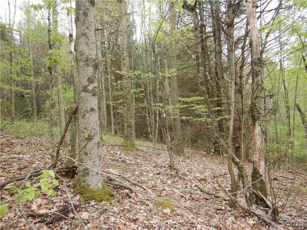 Wightman Road Wellsville, NY 14895 - Photo 4 of 47