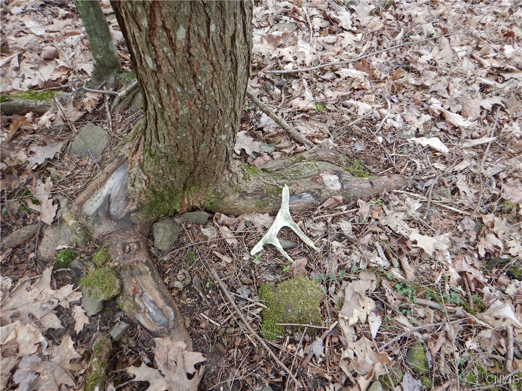 Wightman Road Wellsville, NY 14895 - Photo 43 of 47