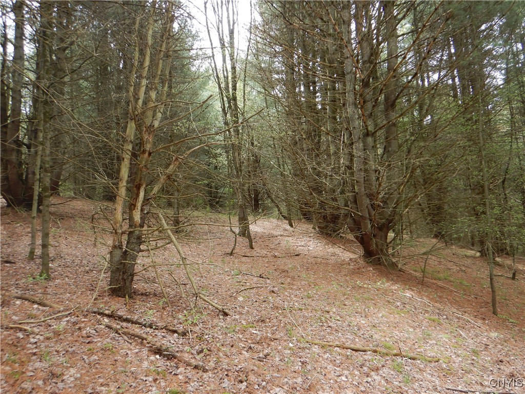 Wightman Road Wellsville, NY 14895 - Photo 44 of 47