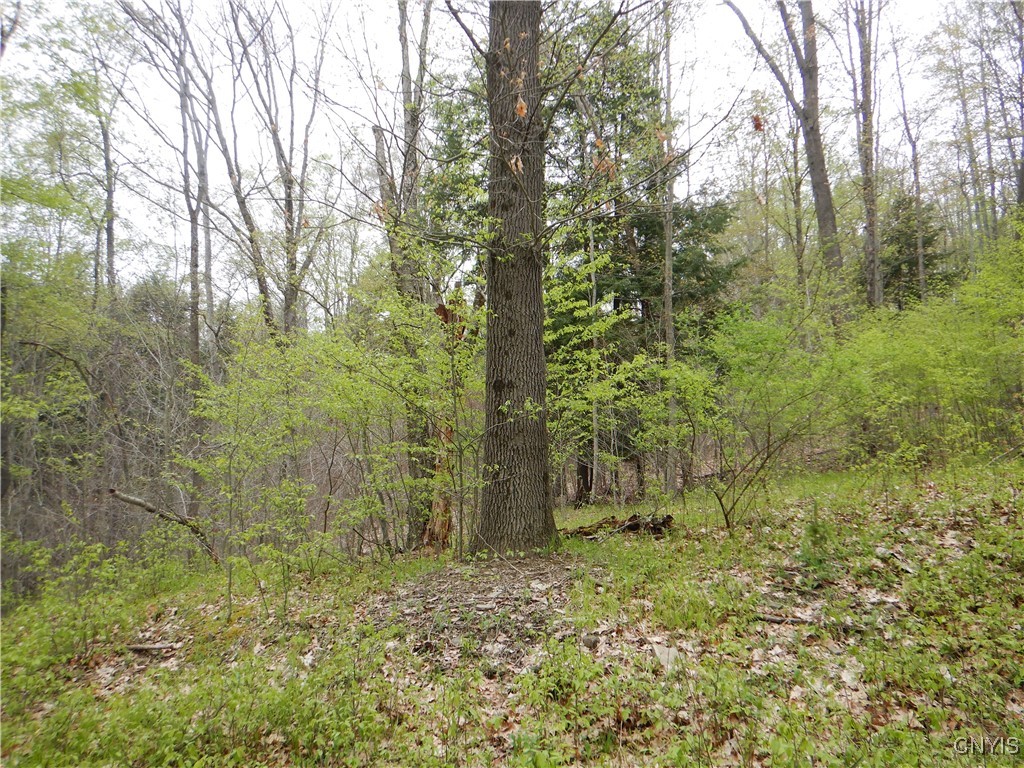 Wightman Road Wellsville, NY 14895 - Photo 5 of 47