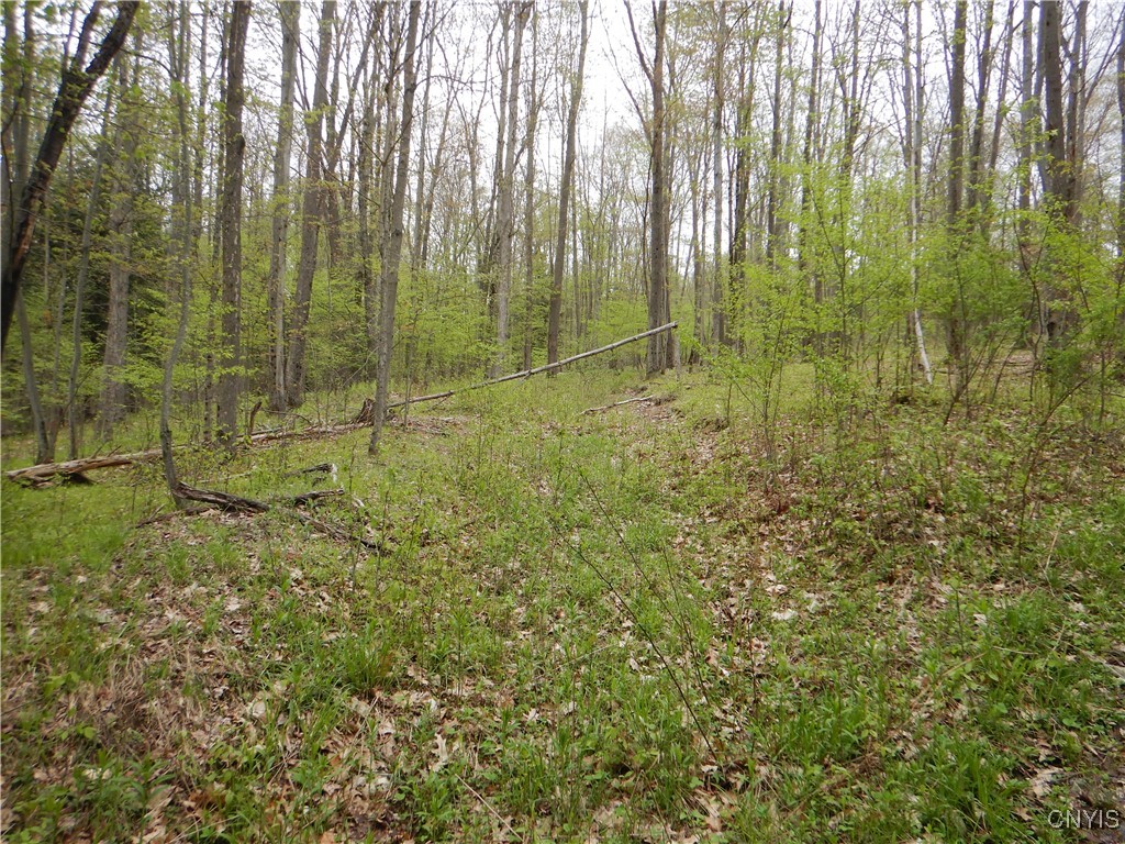 Wightman Road Wellsville, NY 14895 - Photo 6 of 47