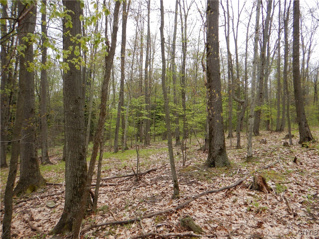 Wightman Road Wellsville, NY 14895 - Photo 8 of 47