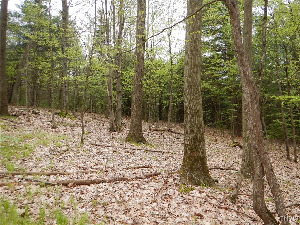 Wightman Road Wellsville, NY 14895 - Photo 9 of 47