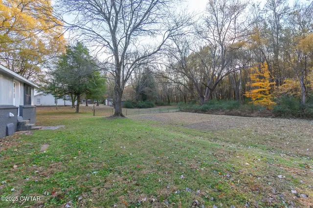 a view of a park with large trees