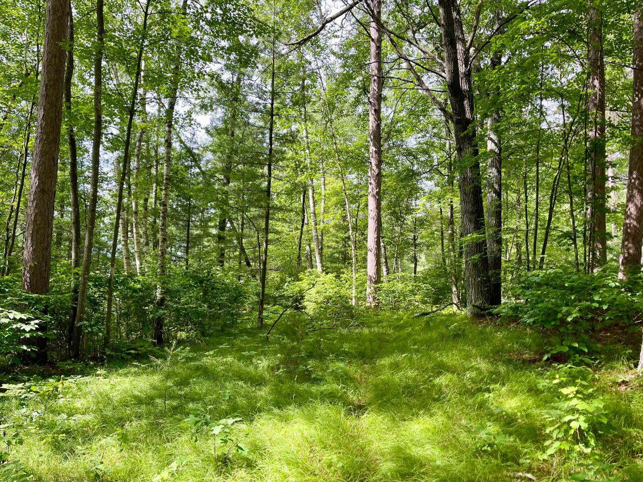 On Selmer Road, Unit LOT 19 Tomahawk, WI 54487 - Photo 5 of 8 Gallery Image 5