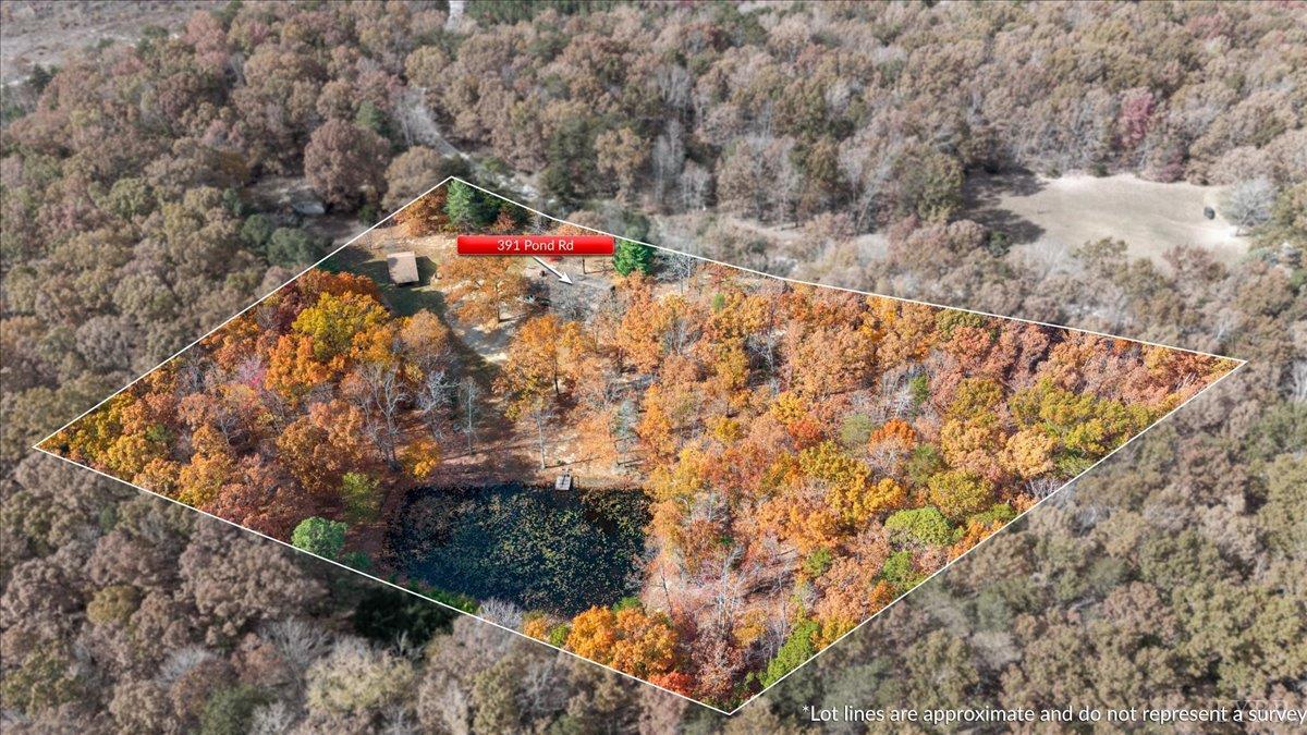 391 Pond Road Buckingham, VA 23921 - Photo 3 of 75