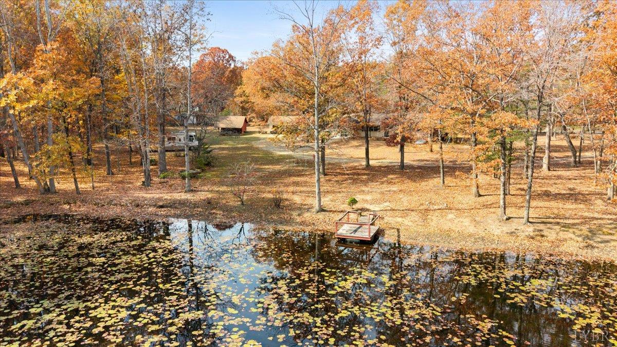 391 Pond Road Buckingham, VA 23921 - Photo 4 of 75