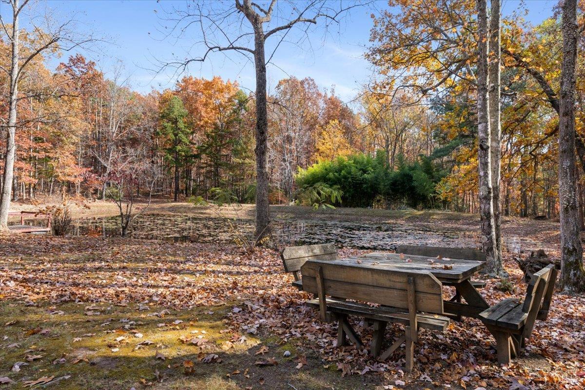 391 Pond Road Buckingham, VA 23921 - Photo 54 of 75 a view of a bench in the backyard