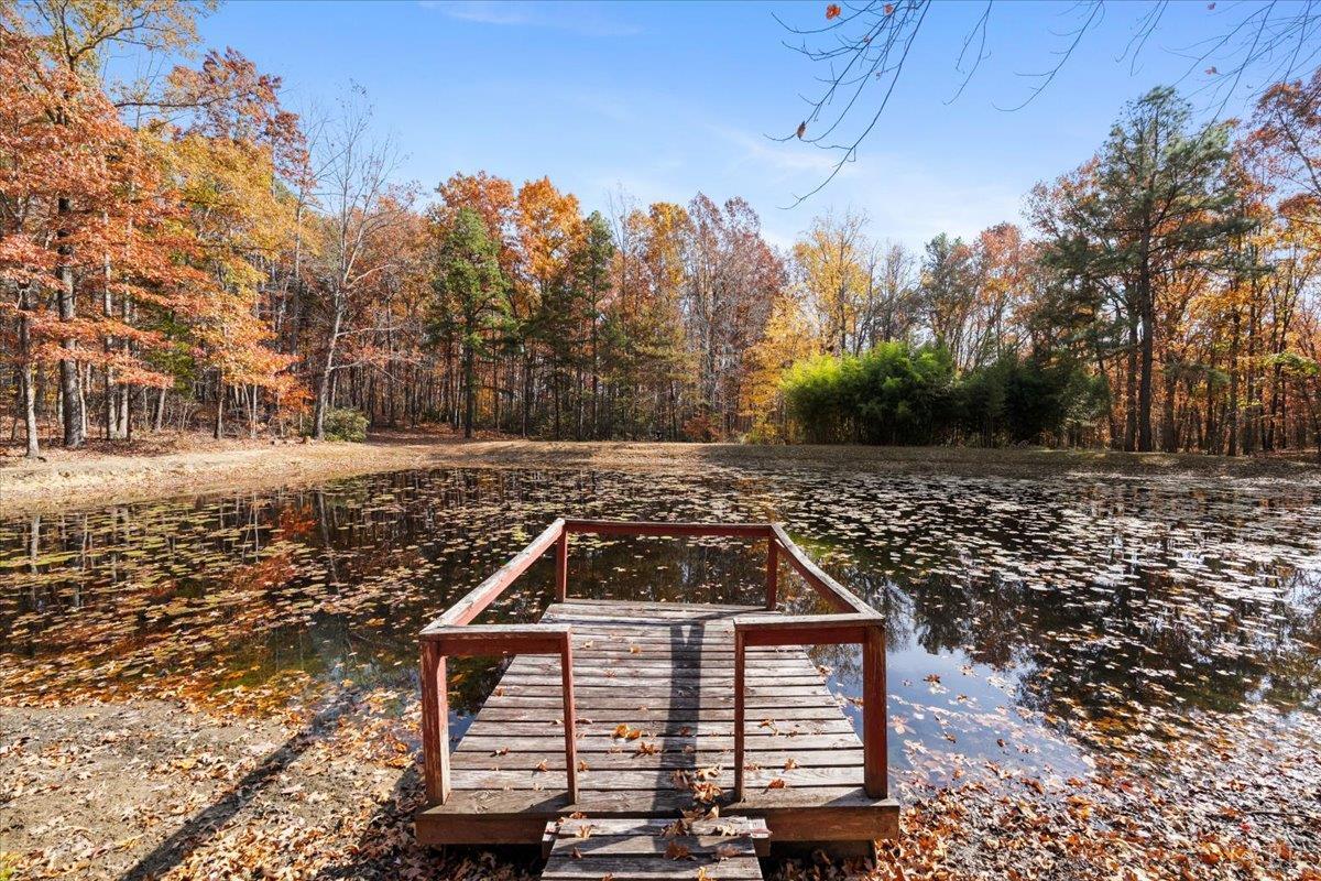 391 Pond Road Buckingham, VA 23921 - Photo 56 of 75 a view of a yard in front of house